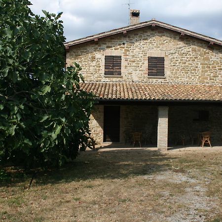 Agriturismo Colle Del Sole San Martino in Colle  Bagian luar foto